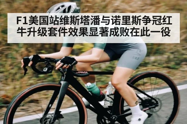 F1美国站维斯塔潘与诺里斯争冠红牛升级套件效果显著成败在此一役